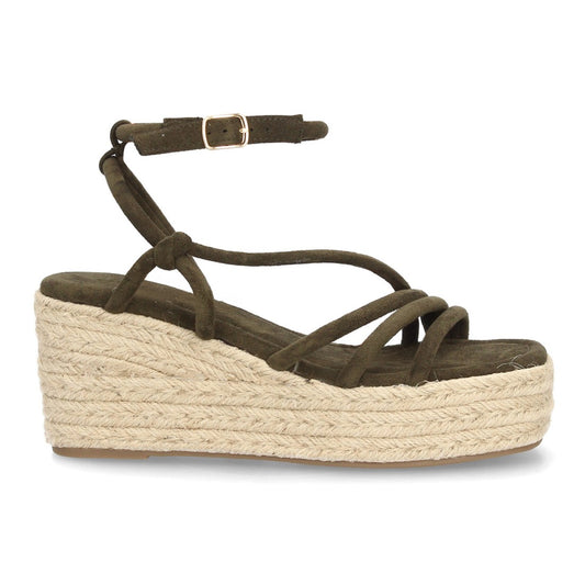 NIVA - OLIVE