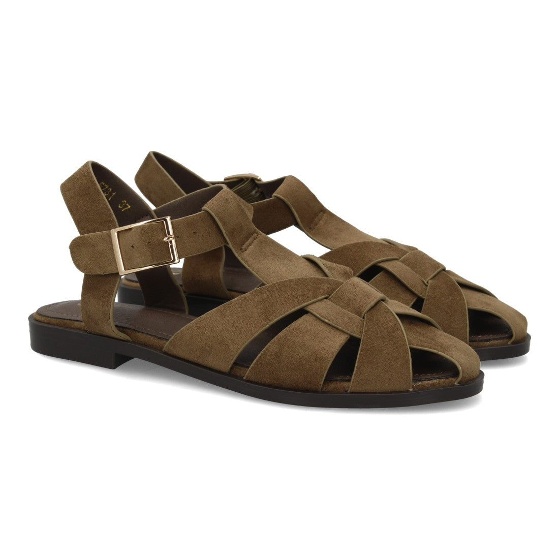 BELI - OLIVE