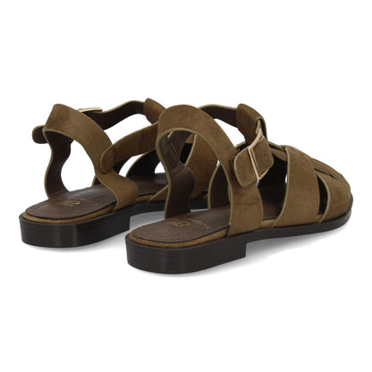 BELI - OLIVE