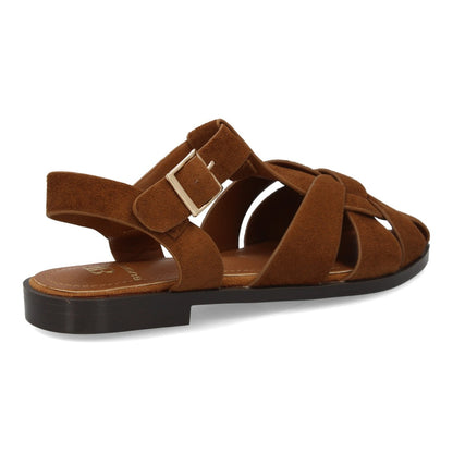 BELI - CAMEL