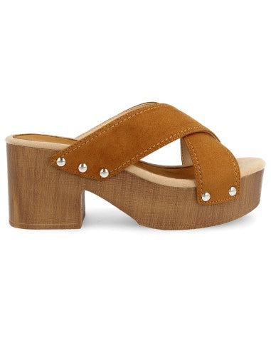 Y5579-Camel