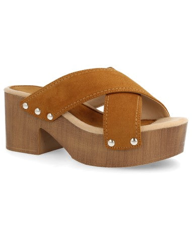Y5579-Camel