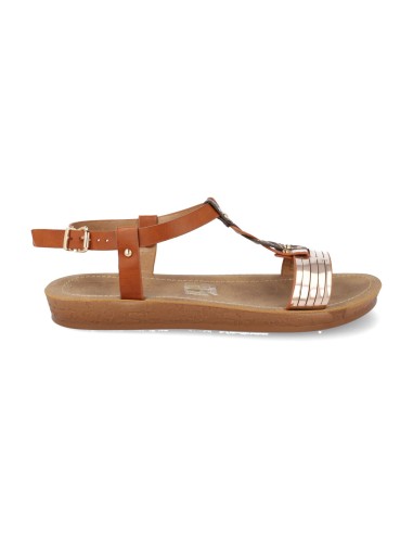 TS-7-Camel