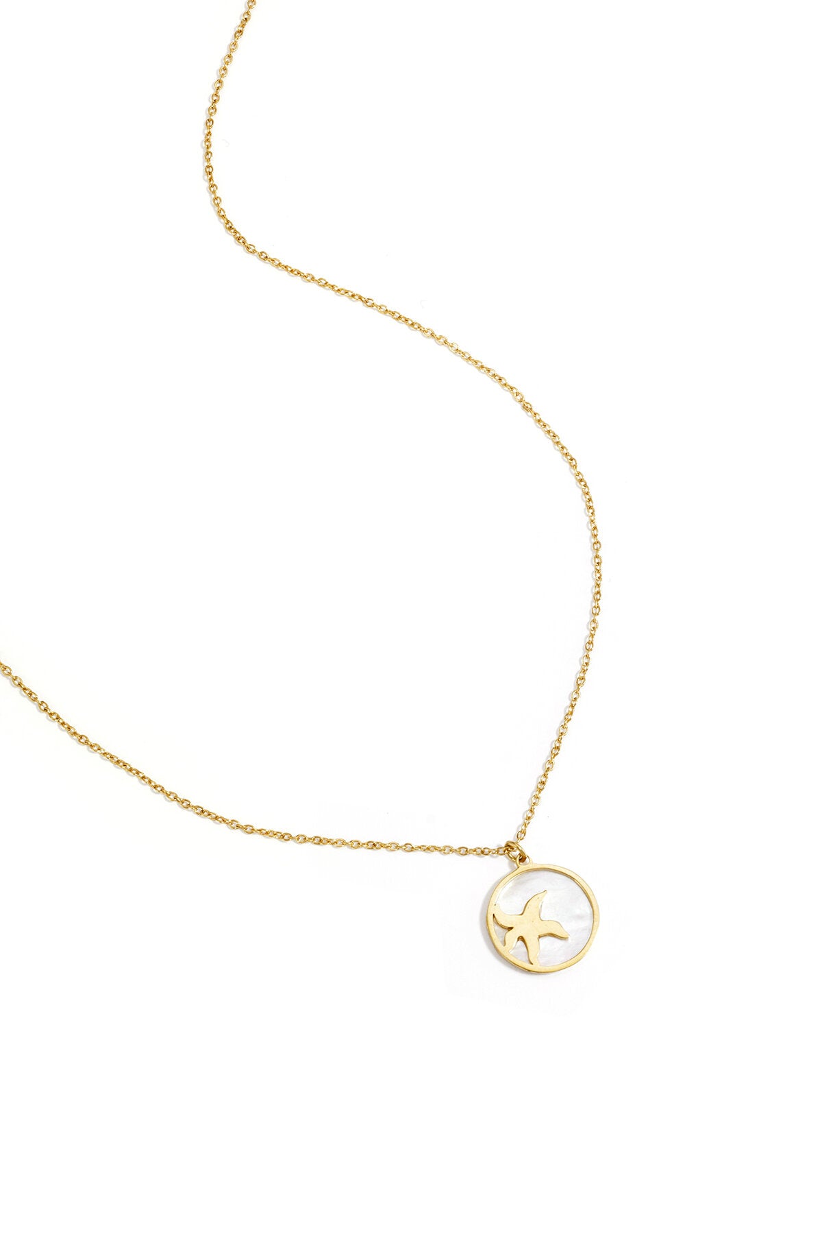 Collar con estrella de mar en círculo
